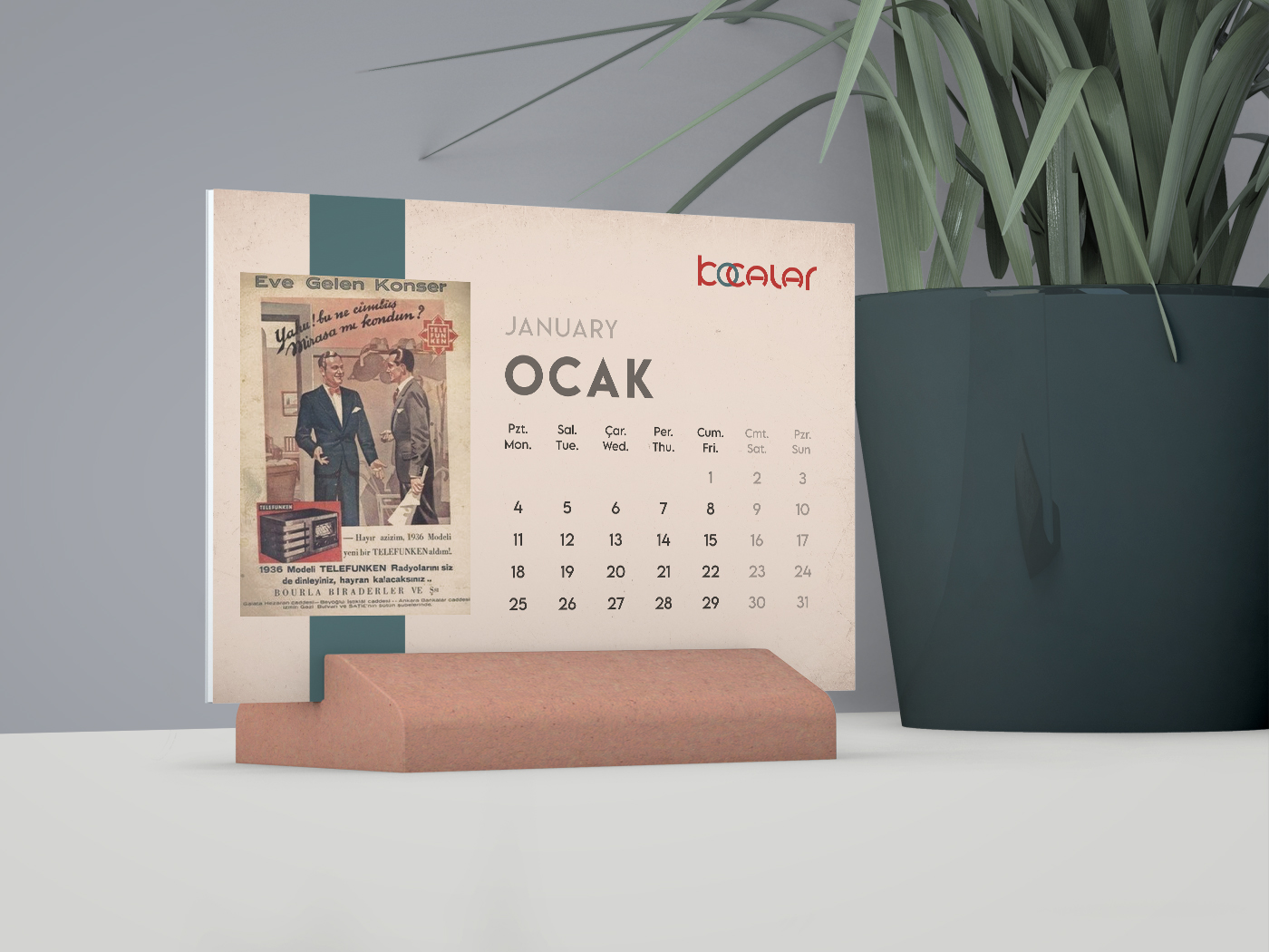 Kocalar